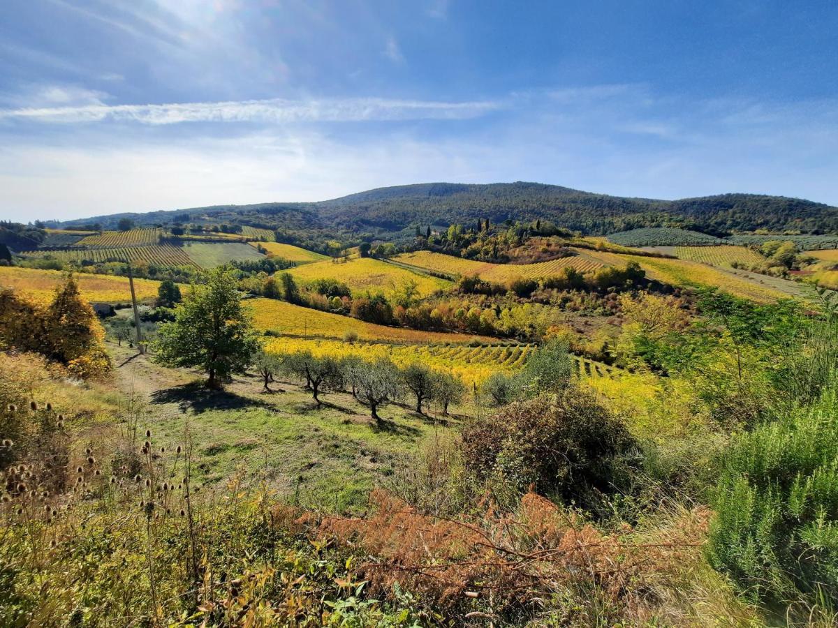Villa Del Sole San Gimignano Exteriör bild