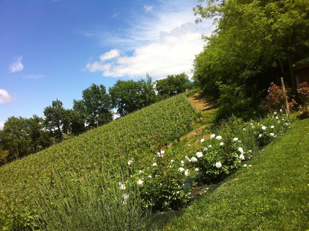 Villa Del Sole San Gimignano Exteriör bild