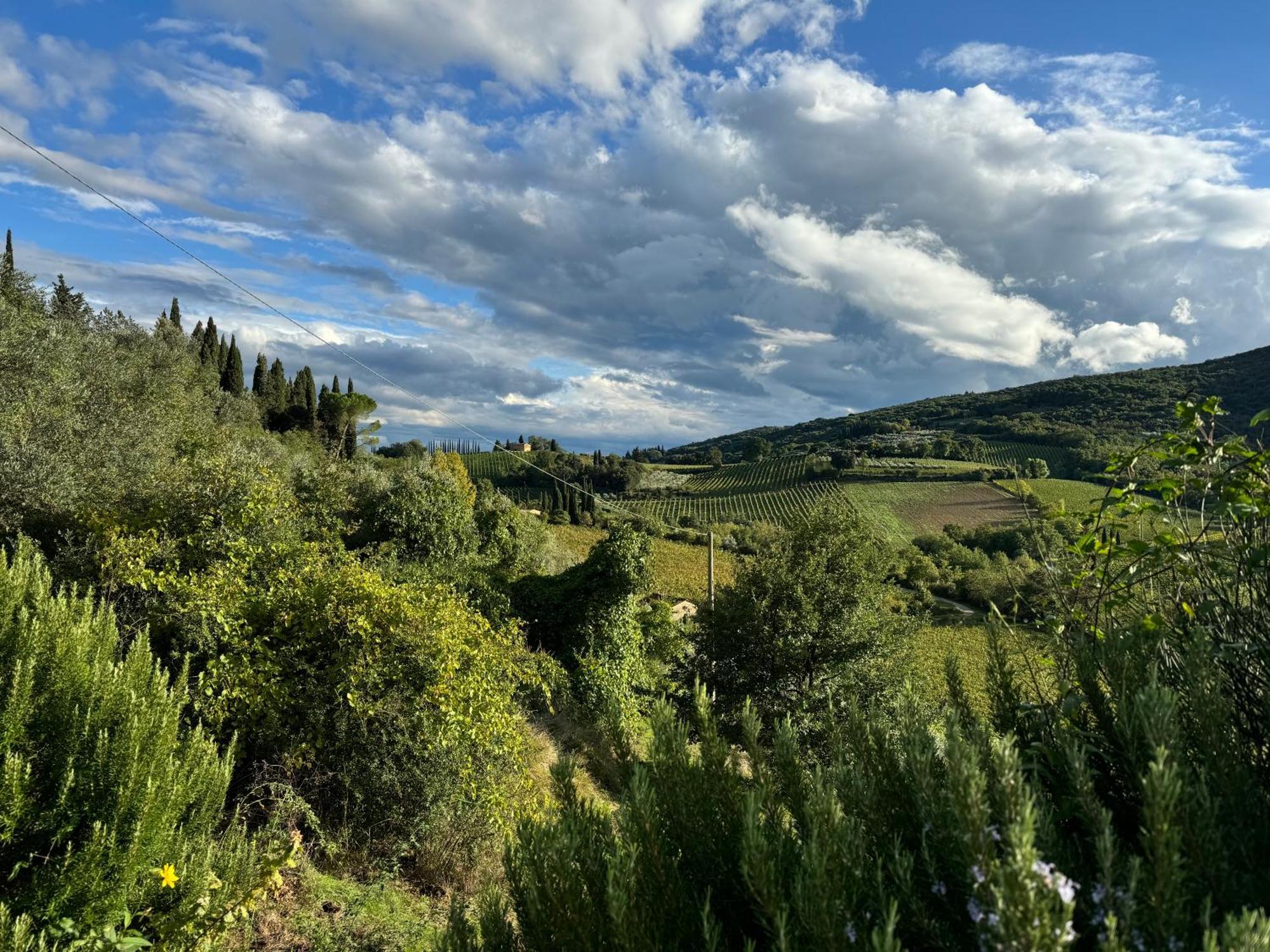 Villa Del Sole San Gimignano Exteriör bild